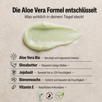 LIPE Aloe Vera